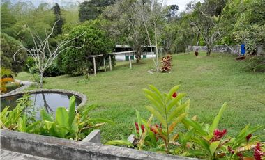 VENDO FINCA EN CALIMA DARIEN
