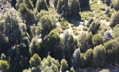 Venta campo  64 HA  Curarrehue  Pucón