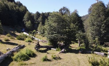 Venta campo  64 HA  Curarrehue  Pucón