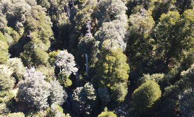 Venta campo  64 HA  Curarrehue  Pucón