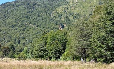 Venta campo  64 HA  Curarrehue  Pucón