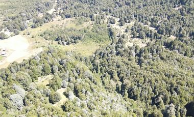 Venta campo  64 HA  Curarrehue  Pucón