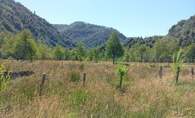Venta campo  64 HA  Curarrehue  Pucón