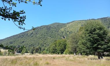 Venta campo  64 HA  Curarrehue  Pucón