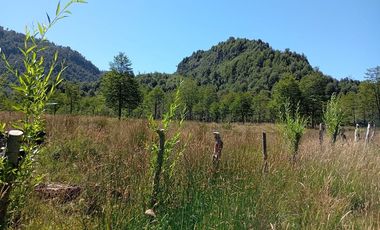 Venta campo  64 HA  Curarrehue  Pucón
