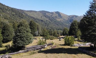 Venta campo  64 HA  Curarrehue  Pucón