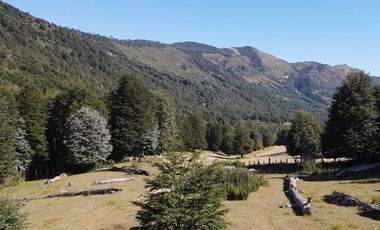 Venta campo  64 HA  Curarrehue  Pucón