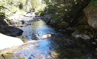 Venta campo  64 HA  Curarrehue  Pucón
