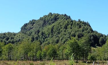 Venta campo  64 HA  Curarrehue  Pucón