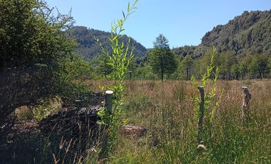 Venta campo  64 HA  Curarrehue  Pucón
