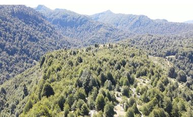 Venta campo  64 HA  Curarrehue  Pucón