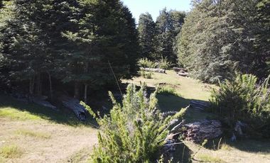 Venta campo  64 HA  Curarrehue  Pucón