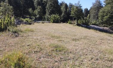 Venta campo  64 HA  Curarrehue  Pucón