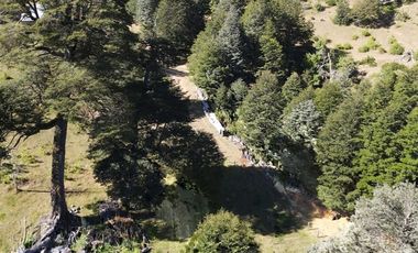 Venta campo  64 HA  Curarrehue  Pucón