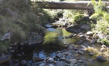 Venta campo  64 HA  Curarrehue  Pucón