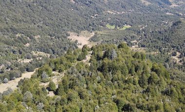 Venta campo  64 HA  Curarrehue  Pucón