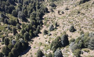 Venta campo  64 HA  Curarrehue  Pucón