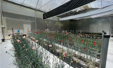 Casa para la Venta en el Retiro la Fe