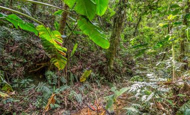 Casa para la Venta en el Retiro la Fe