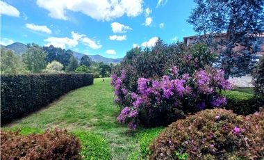 Lote para la Venta en La Ceja Sector Cantarrana