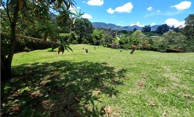 Lote para la Venta en La Ceja Sector Cantarrana