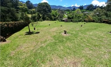 Lote para la Venta en La Ceja Sector Cantarrana