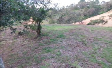 Lote para la Venta en La Ceja Antioquia