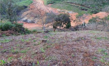 Lote para la Venta en La Ceja Antioquia