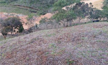 Lote para la Venta en La Ceja Antioquia