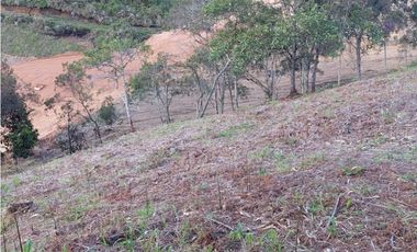 Lote para la Venta en La Ceja Antioquia