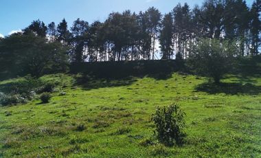 VENDO TERRENO EN COATEPEC - VERACRUZ