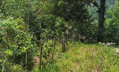 VENDO TERRENO EN COATEPEC - VERACRUZ