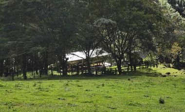 VENDO TERRENO EN COATEPEC - VERACRUZ