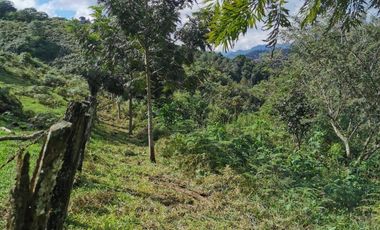VENDO TERRENO EN COATEPEC - VERACRUZ