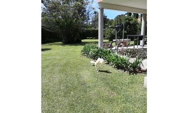 Casa en Arriendo en Llanogrande cerca al Club