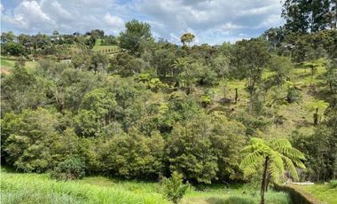 Lote  para la venta en vía San Antonio La Ceja
