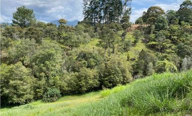 Lote  para la venta en vía San Antonio La Ceja