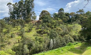 Lote  para la venta en vía San Antonio La Ceja