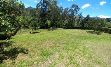 Lote para la Venta en vía San Antonio La Ceja