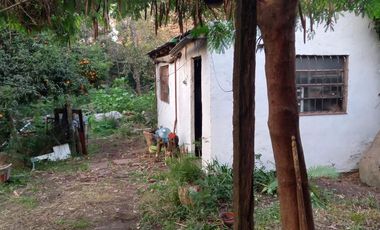 Casa - Longchamps