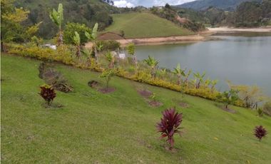 Finca para la Venta en el Peñol la Magdalena para Inversionistas