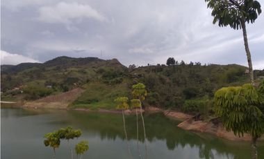 Finca para la Venta en el Peñol la Magdalena para Inversionistas