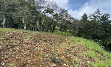 SE VENDE LOTE INDEPENDIENTE CON VISTA HACIA LA CEJA SECTOR TABOR [JCAR