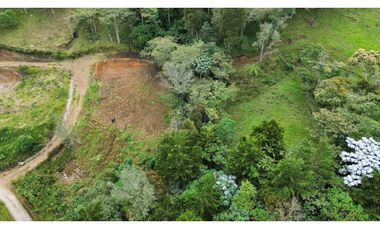 SE VENDE LOTE INDEPENDIENTE CON VISTA HACIA LA CEJA SECTOR TABOR [JCAR