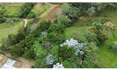 SE VENDE LOTE INDEPENDIENTE CON VISTA HACIA LA CEJA SECTOR TABOR [JCAR