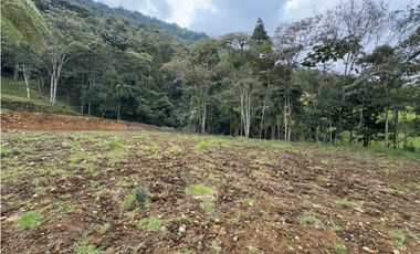 SE VENDE LOTE INDEPENDIENTE CON VISTA HACIA LA CEJA SECTOR TABOR [JCAR