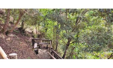 VENTA DE FINCA INDEPENDIENTE CON CABAÑA EXTERNA EN MARINILLA