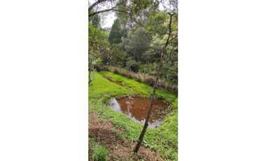 VENTA DE FINCA INDEPENDIENTE CON CABAÑA EXTERNA EN MARINILLA