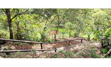 VENTA DE FINCA INDEPENDIENTE CON CABAÑA EXTERNA EN MARINILLA