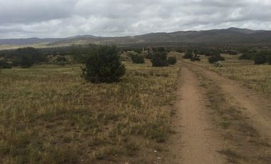 VENTA 113 HECTAREAS VALLE DE OJOS NEGROS
